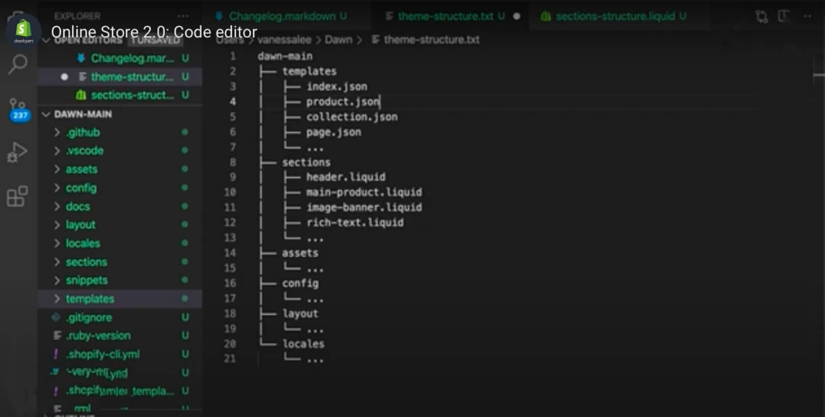 Shopify CLI Editor