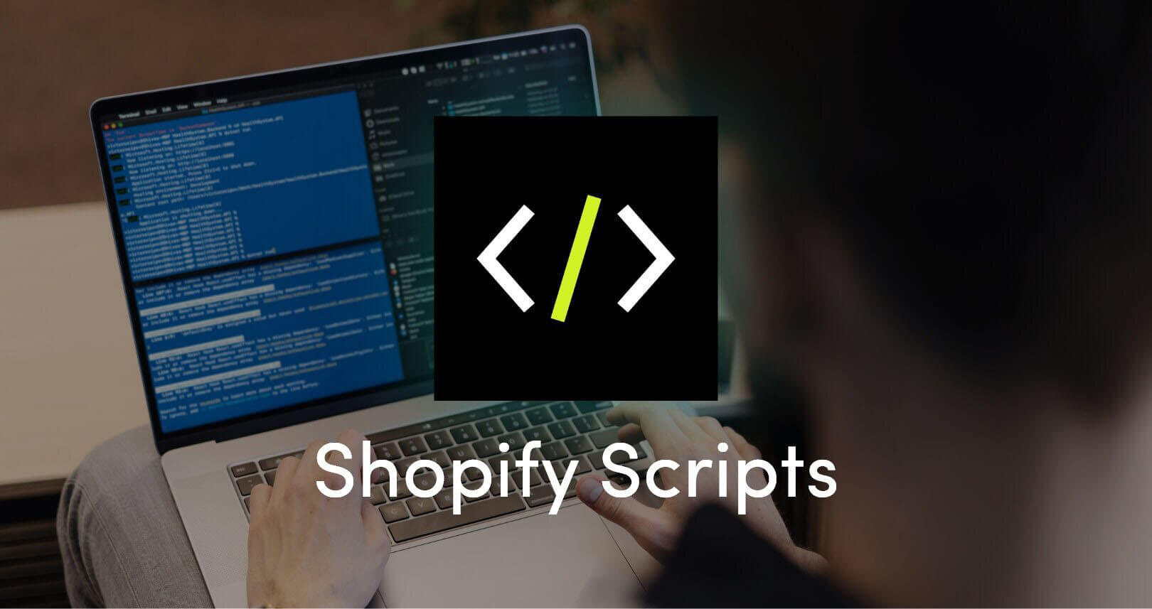 Shopify Online Store 2.0 - Shopify Scripts