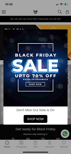 Black Friday Sale 