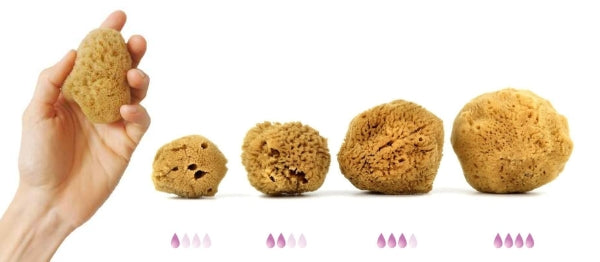 natural sea sponges for periods