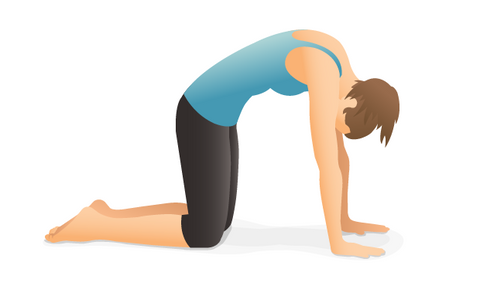 5 Must Know Facts about the Evolution of yoga and yoga poses