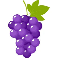 Grape | Grape E-Juice | Vape World Australia