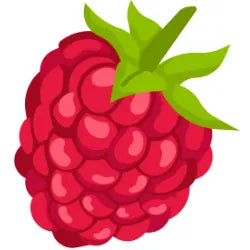 Raspberry | Raspberry E-Juice | Vape World Australia