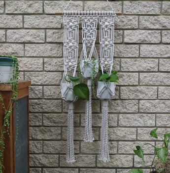 Hanging Garden Macrame Pattern Instructions Knot Modern