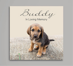 pet memorial canvas 