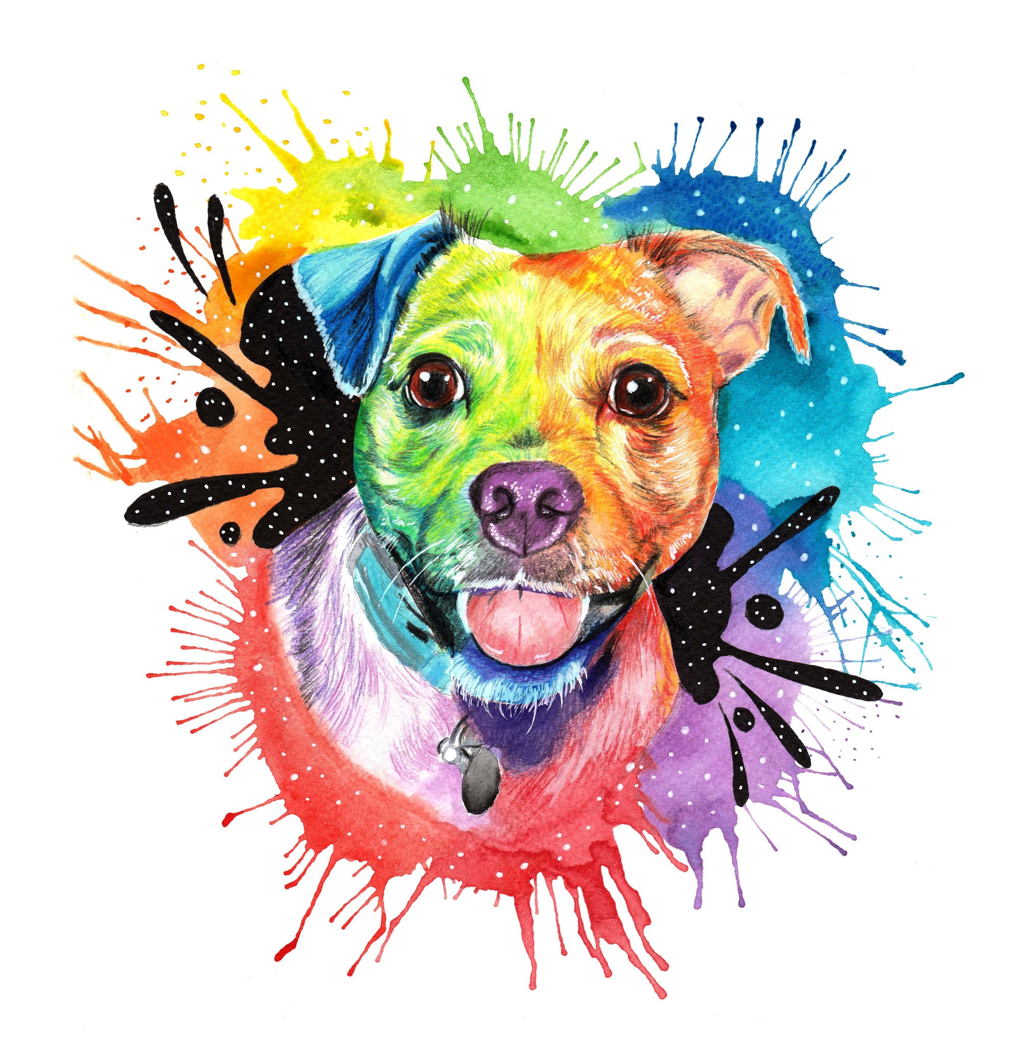 Rainbow Inspired Painted Paw – painted-paws