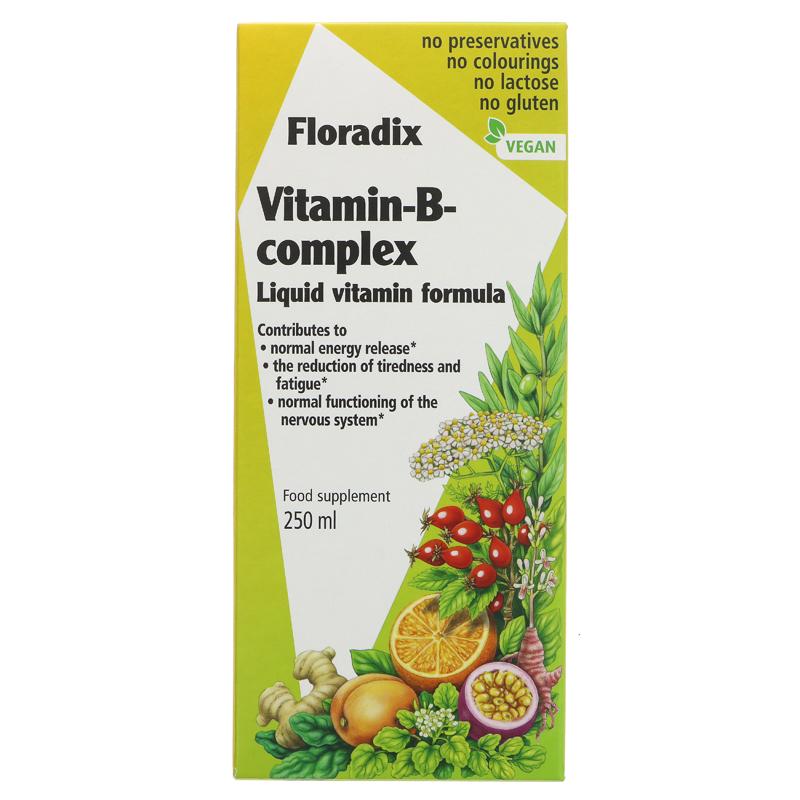 Picture of Floradix Vitamin B Complex 250ml