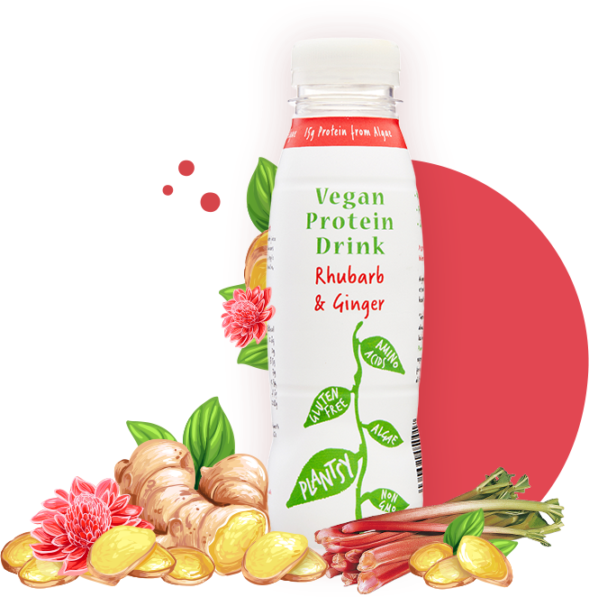 Picture of Plantsy Protein Drink - Rhubarb & Ginger 330ml