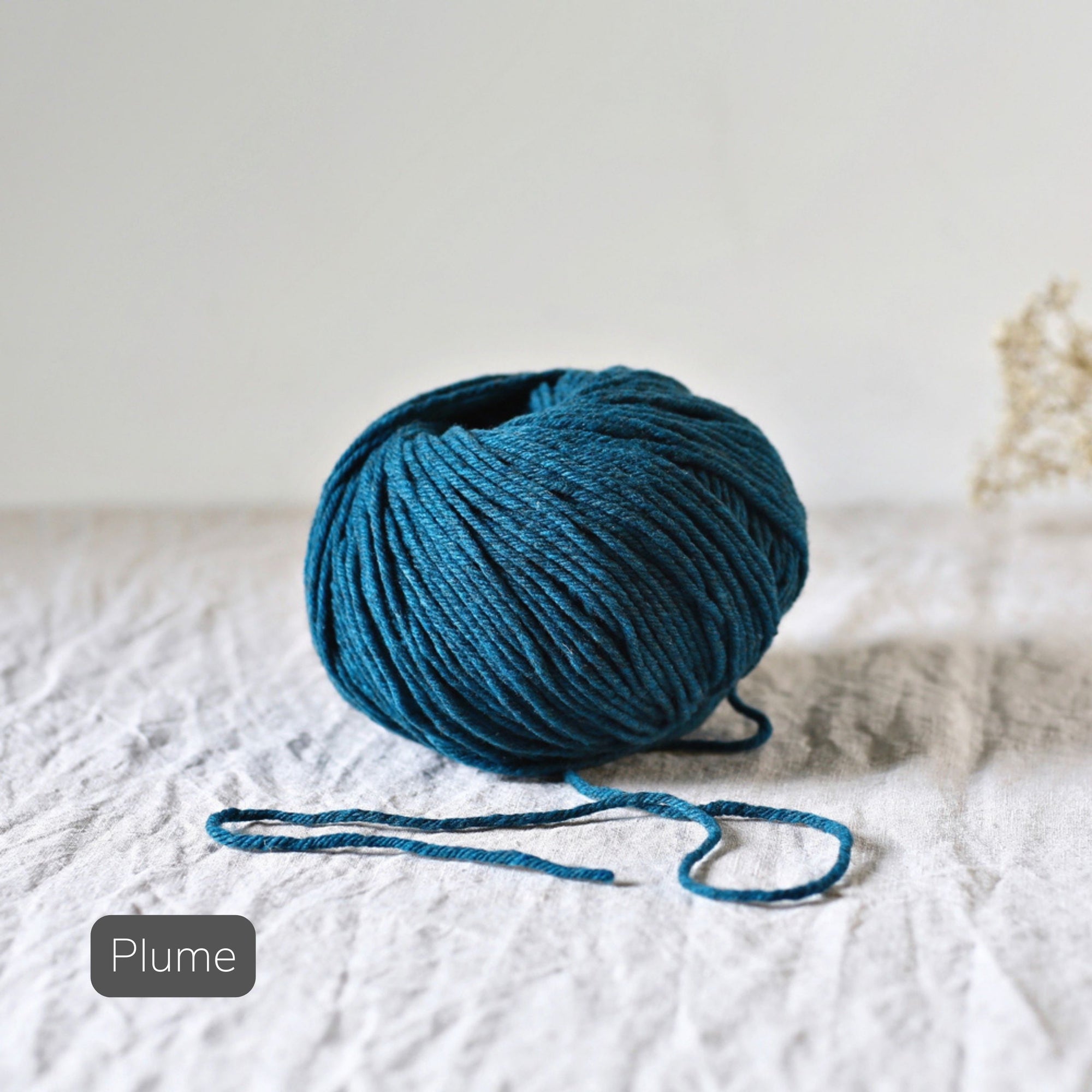 De Rerum Natura - Cyrano - ILO Knitting Shop
