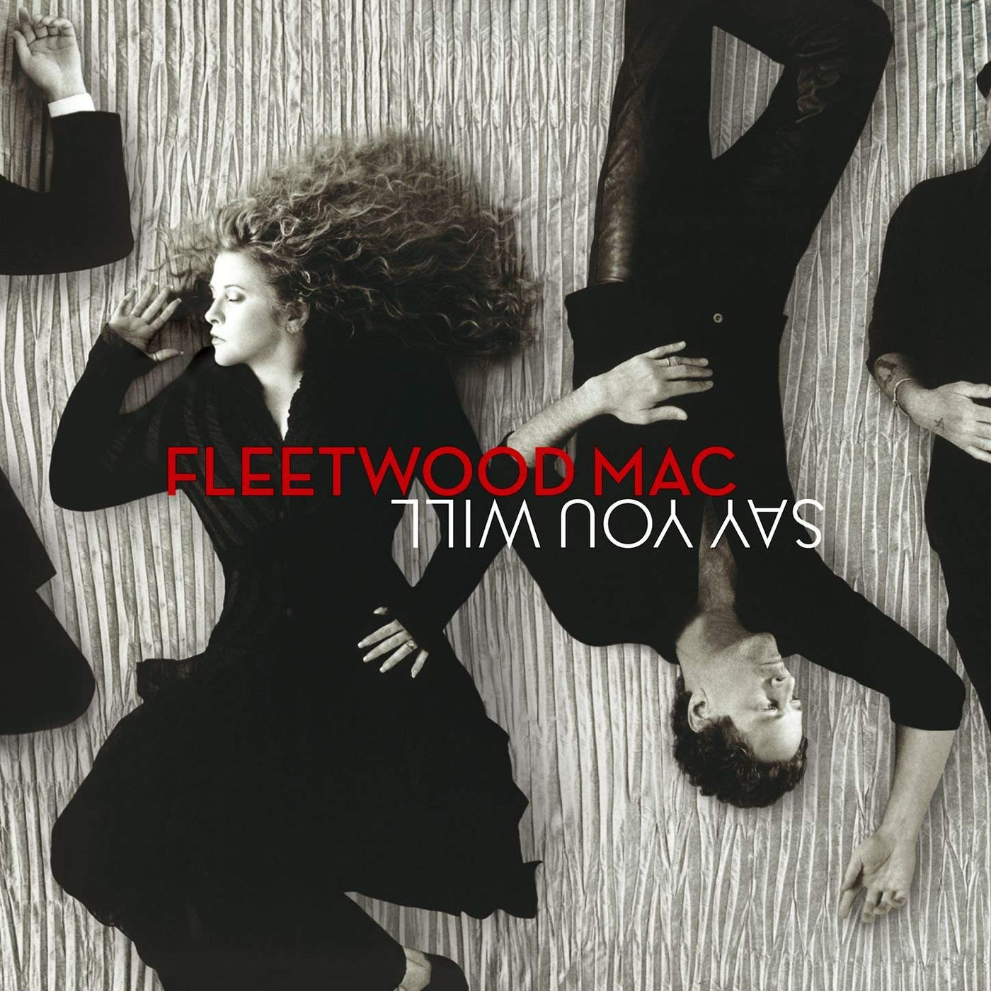 fleetwood mac say you will free mp3 download