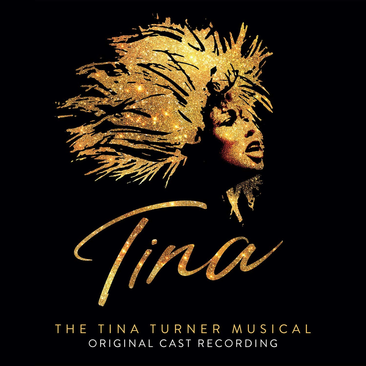 Tina The Tina Turner Musical Vinyl LP 2021 — Assai Records