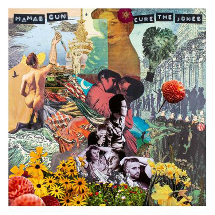 国内正規□ レア!新品!Mamas Gun『Cure the Jones』レコード LP