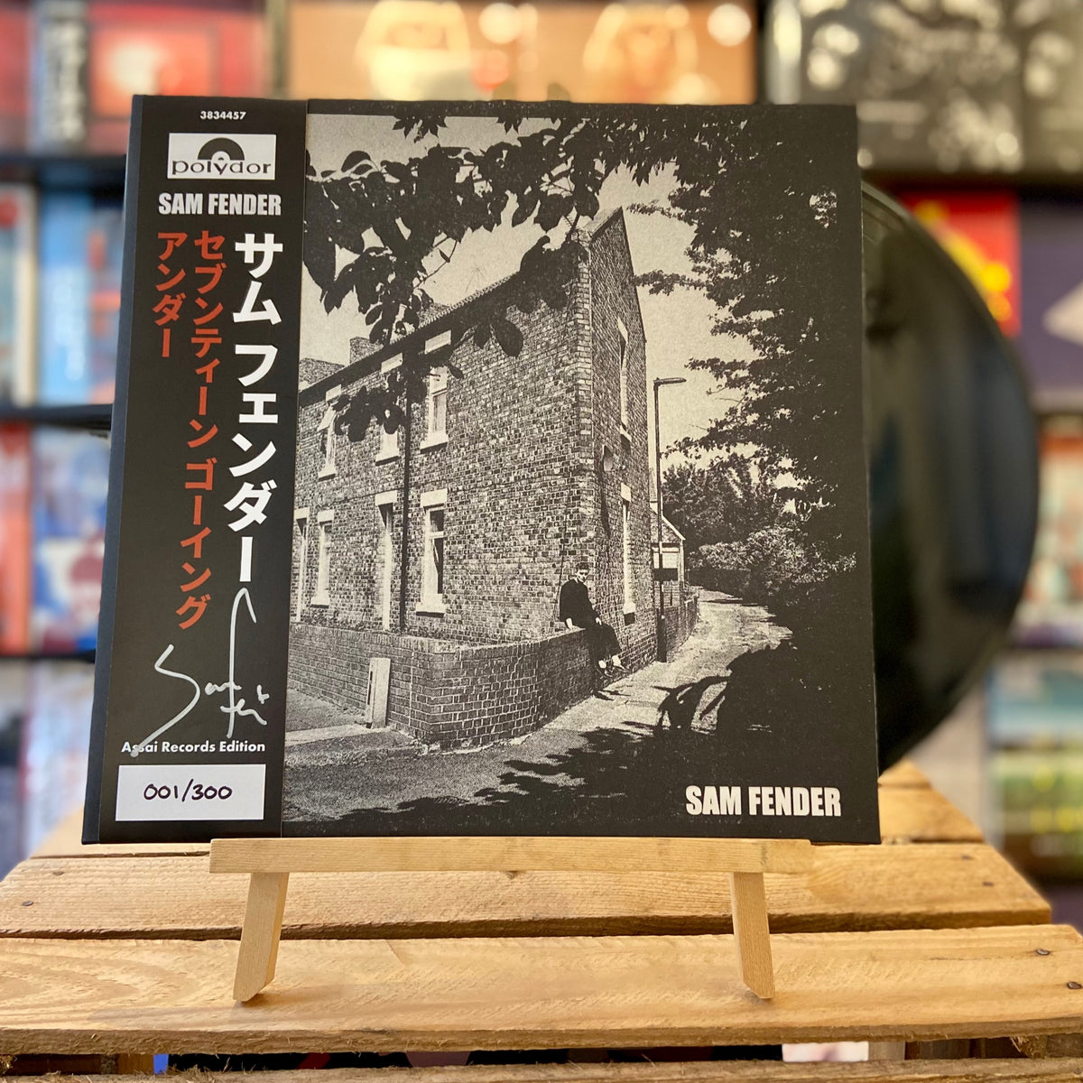 正規 SAM FENDER LP アナログ レコード サムフェンダー