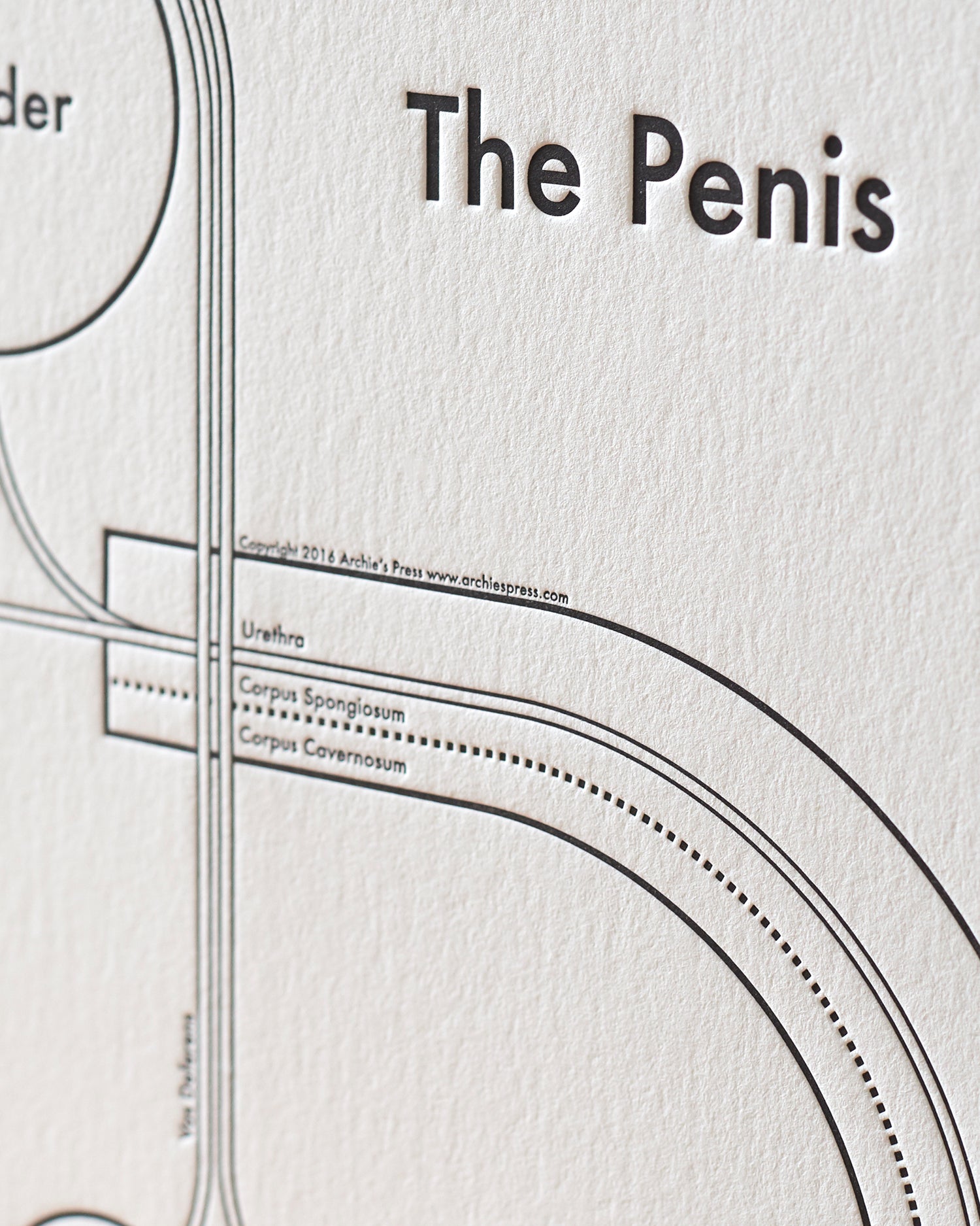 The Penis Print Archies Press 