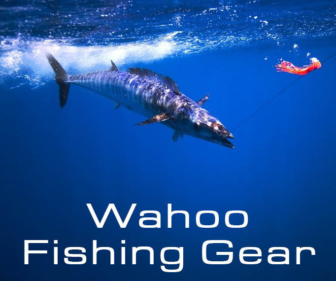 Wahoo Fishing Gear - Fisherman's Center – Bill Buckland's Fisherman's Center