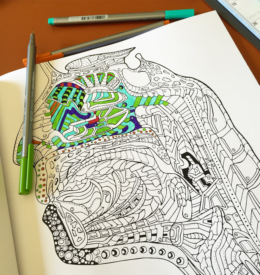 Download Show Me Your Guts An Artistic Anatomical Coloring Book For Adults Arteryink