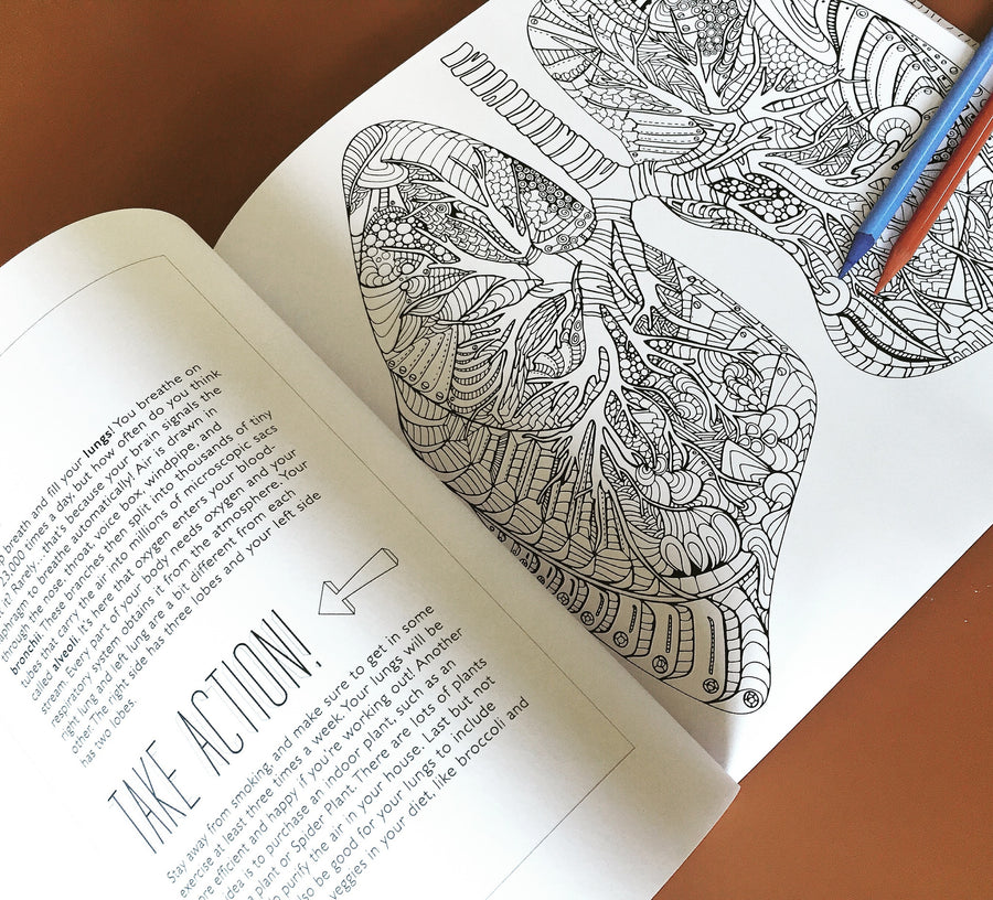 Download Show Me Your Guts An Artistic Anatomical Coloring Book For Adults Arteryink