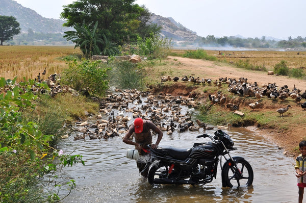 Inspiration from India - Nature