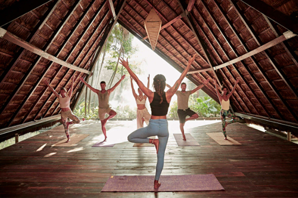 yoga tulum <tc>the indian face</tc>