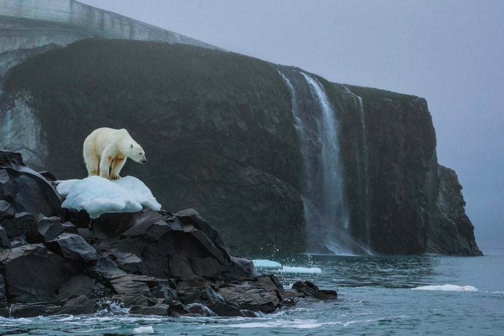 Alaska - 4 lugares destinados a desaparecer por el cambio climático 