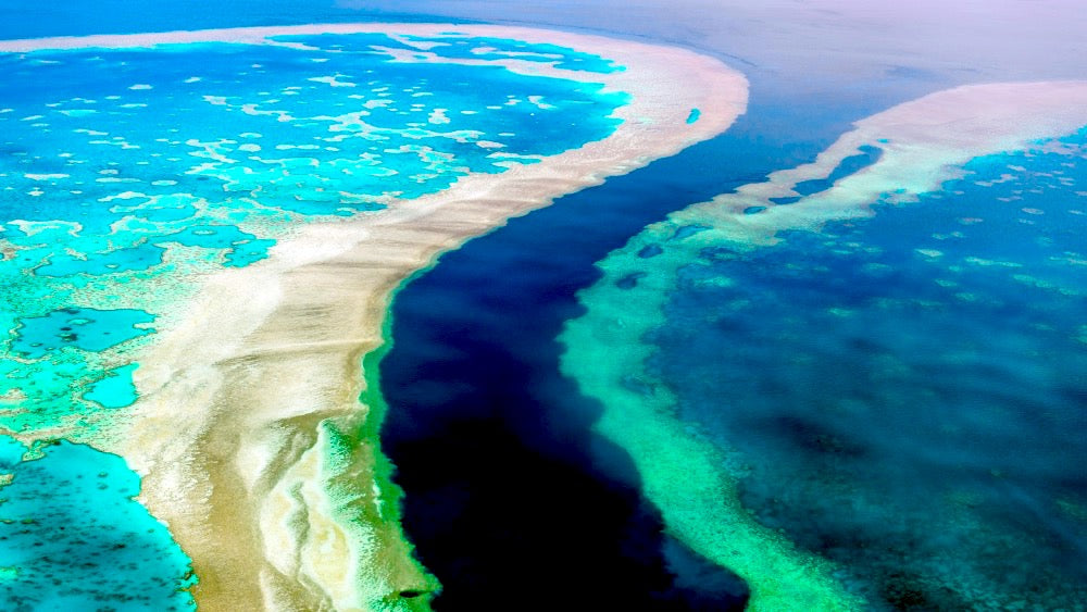 gran barrera de coral australia