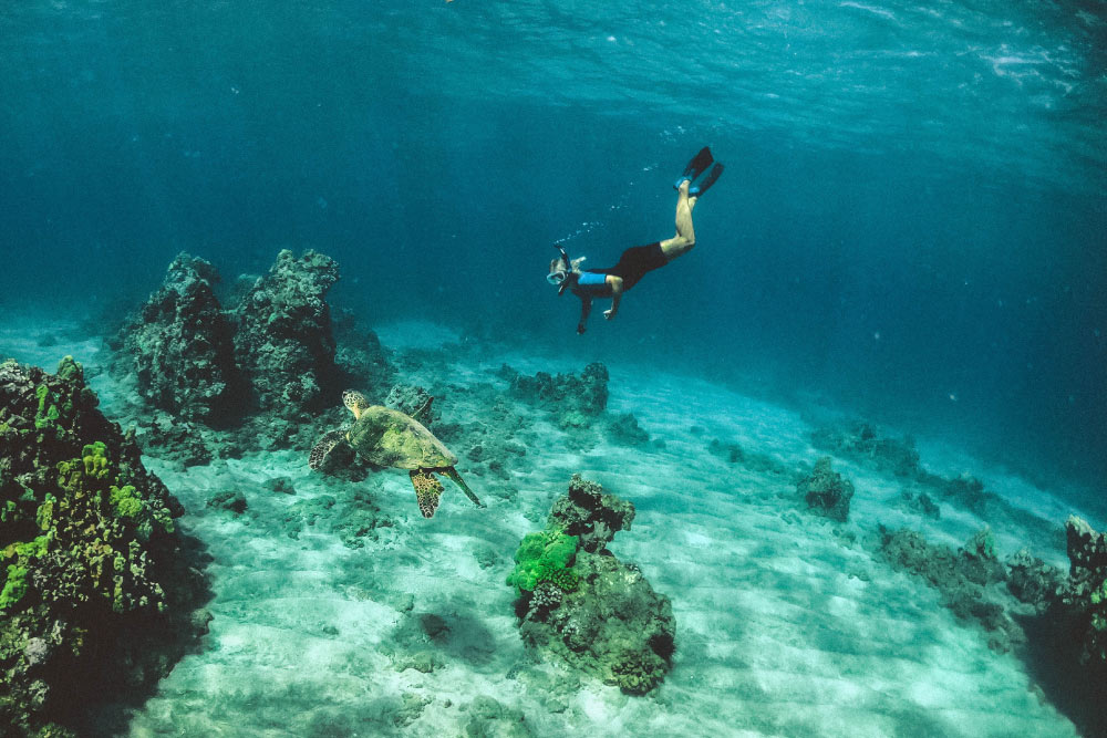 BUCEO RECREATIVO-10 COSAS QUE DEBES SABER SI TE ESTAS INICIANDO EN EL BUCEO