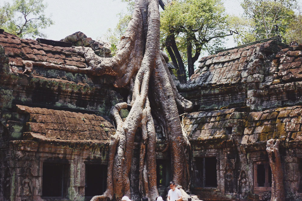 Angkor Wat y los templos perdidos de Camboya