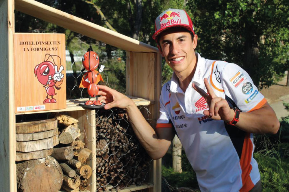 Marc Marquez Hormiga 