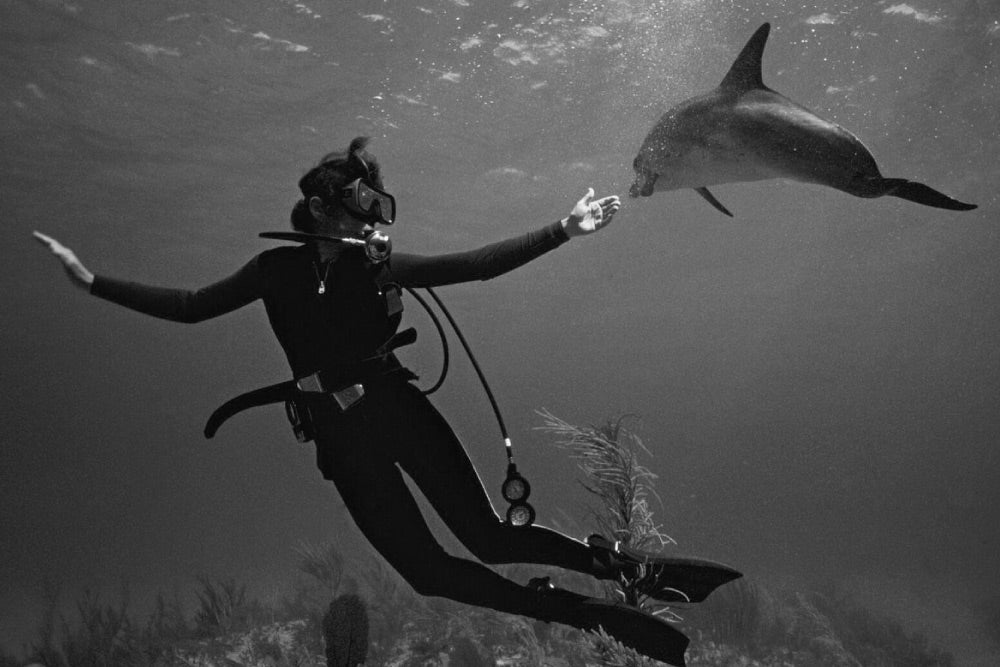 Sylvia Earle- 10 exploradores que cambiaron al mundo con sus expediciones