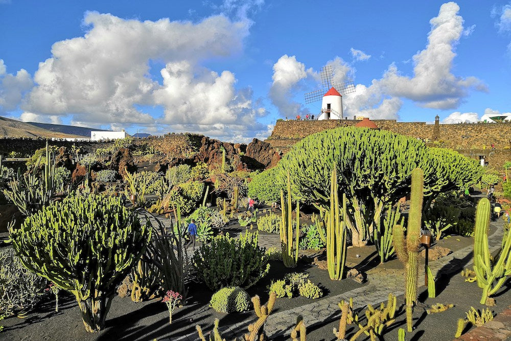 Lanzarote