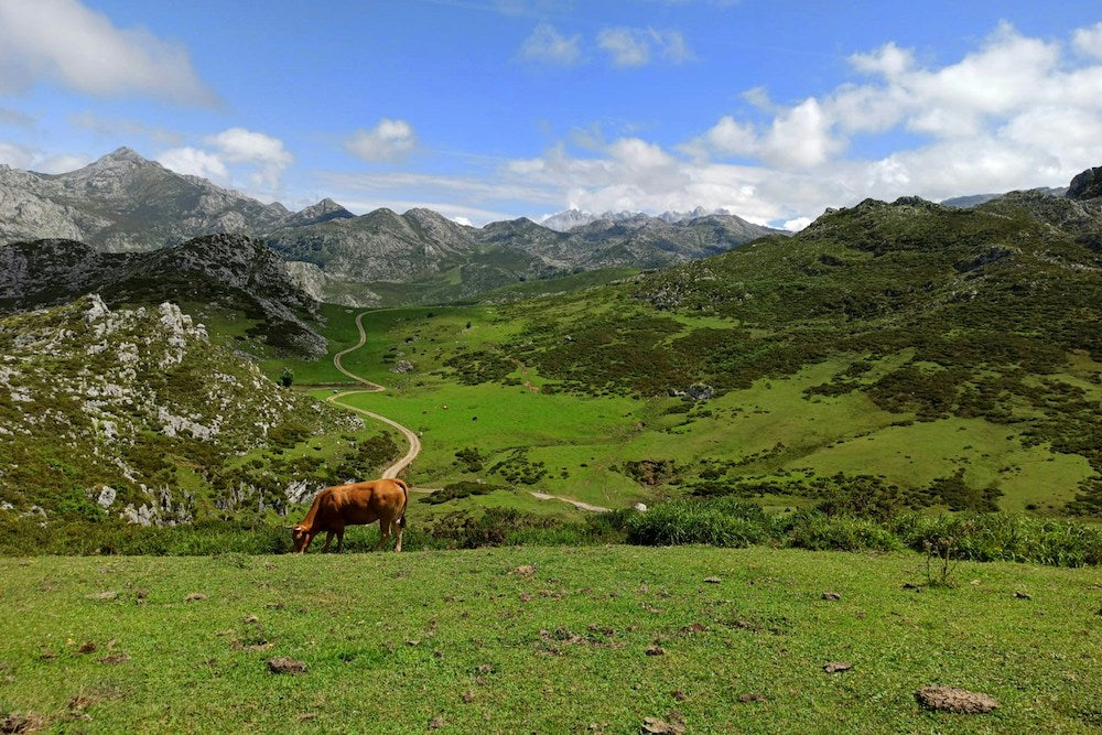 picos de europa