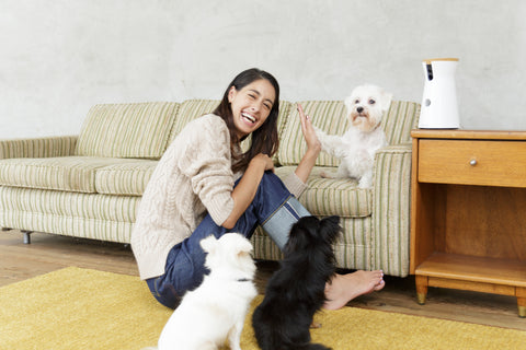Furbo ユーザーインタビュー 森泉さん流 保護犬との暮らし方とは Furbo 愛犬のためのペットカメラ Furbo ユーザーインタビュー 森泉さん流 保護犬との暮らし方とは Furbo 愛犬のためのペットカメラ