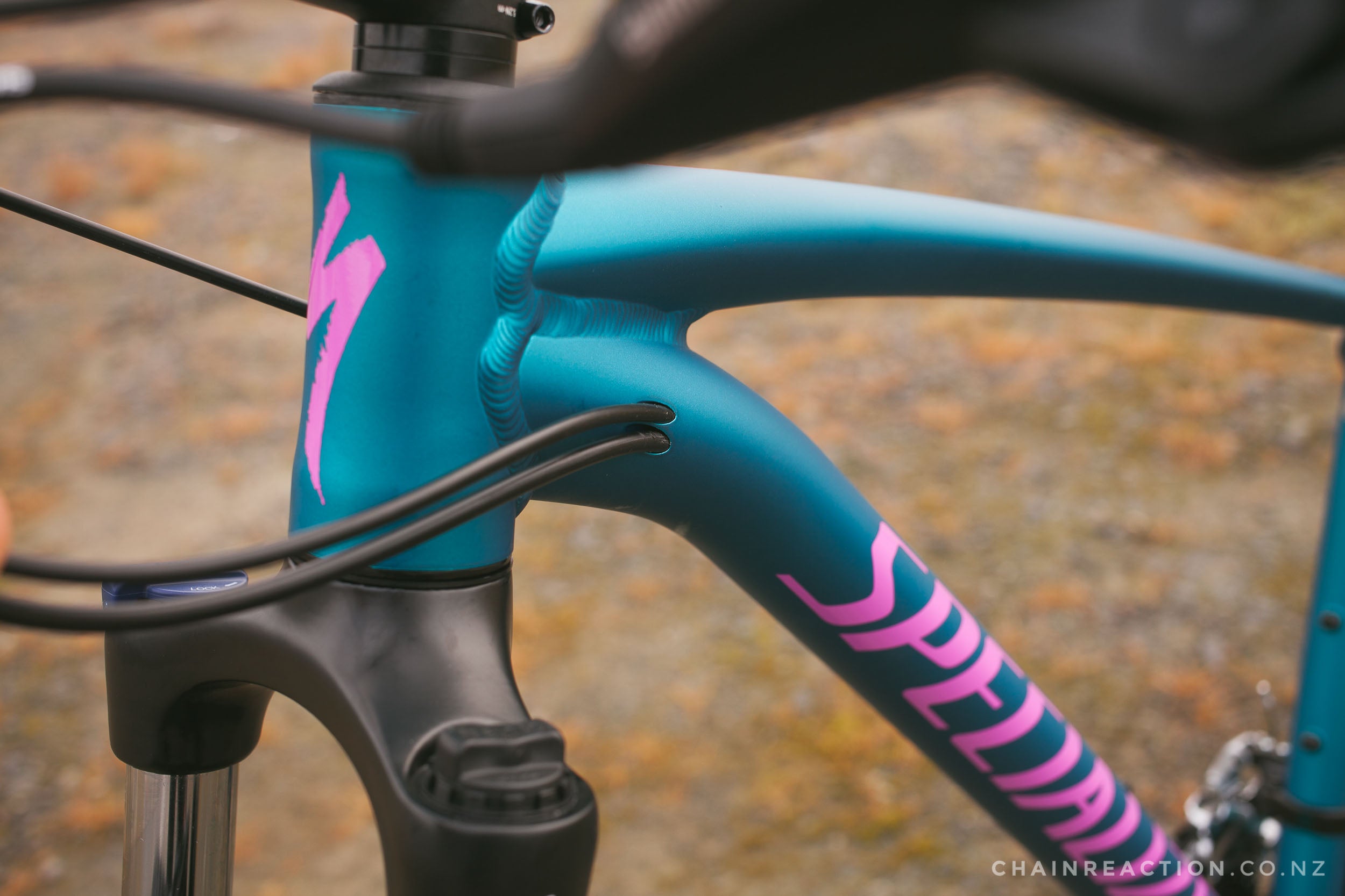 specialized women's rockhopper pro