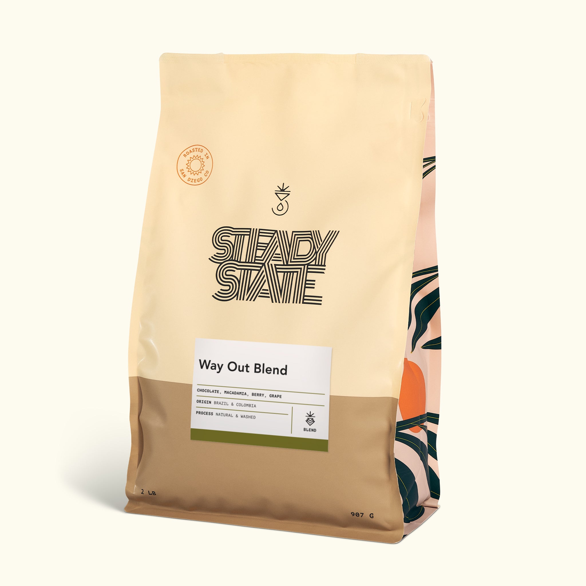 Steady State cover image