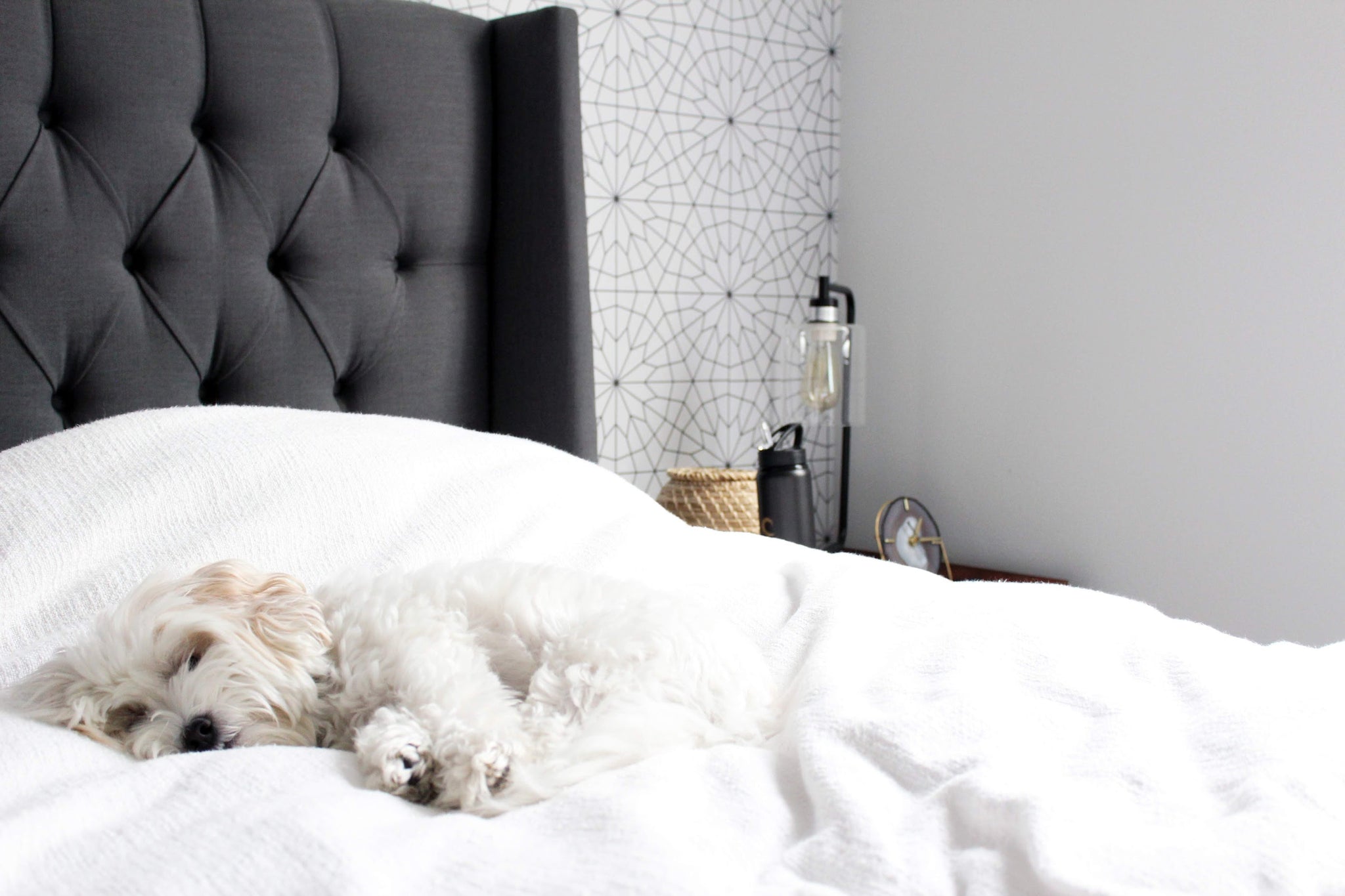 Grey king size bed in white modern interior with geometric wallpaper