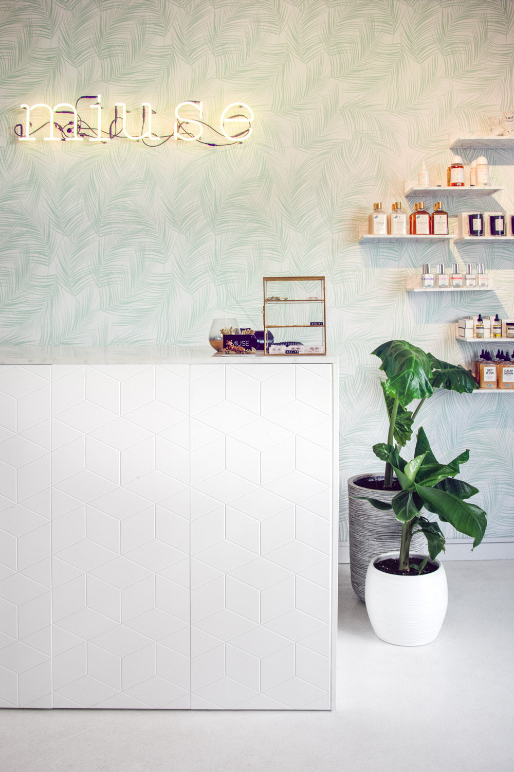 Tropical Palm Leaves Commercial Wallpaper Retail Design