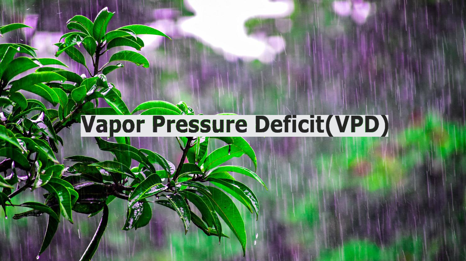 VPD (Vapour Pressure Deficit