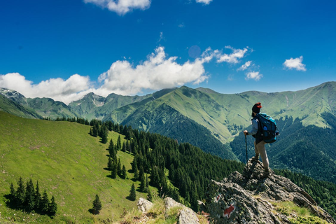 Mountains and trees