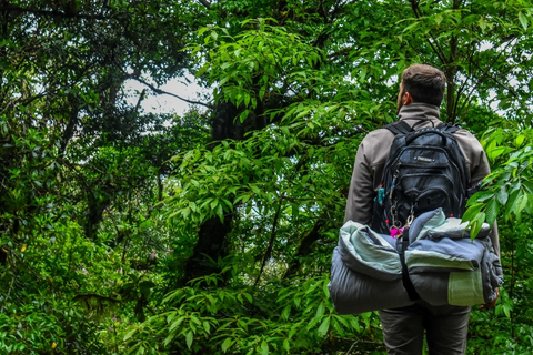 Man standing in front of a tree wearing a camping backpack