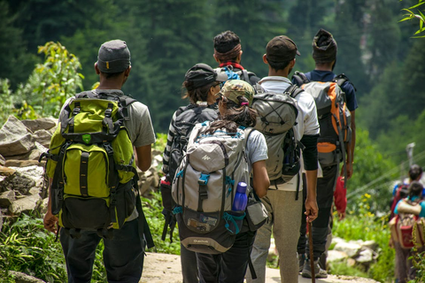 Group of people hiking on a trail