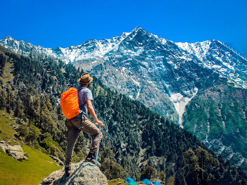 Man gazing at mountains