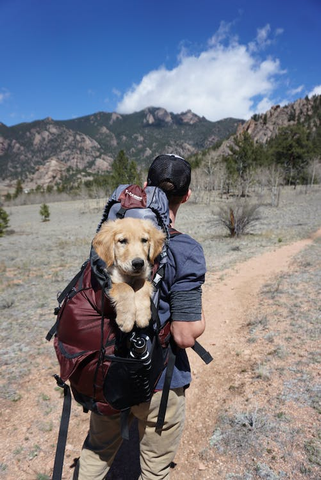 A hiker carrying his dog