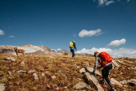 Two hikers with a pet dog