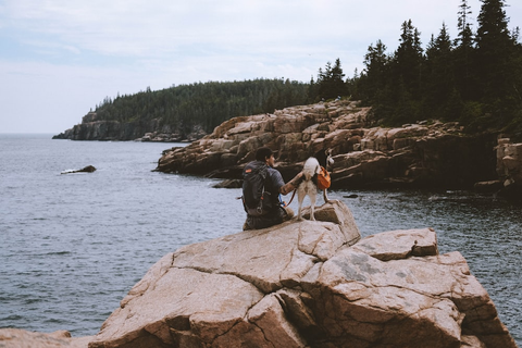 An adventurer with his pet