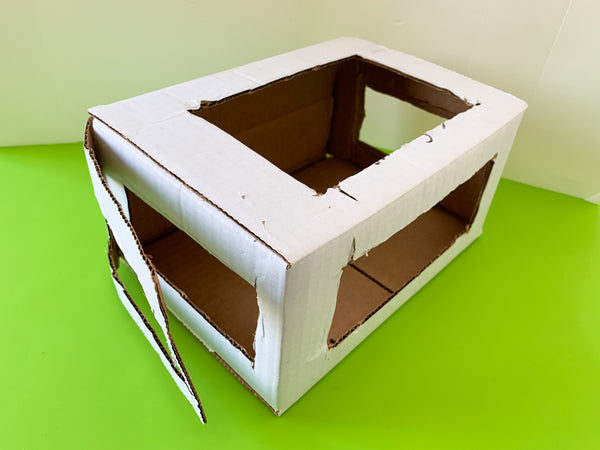 DIY Bug Box 