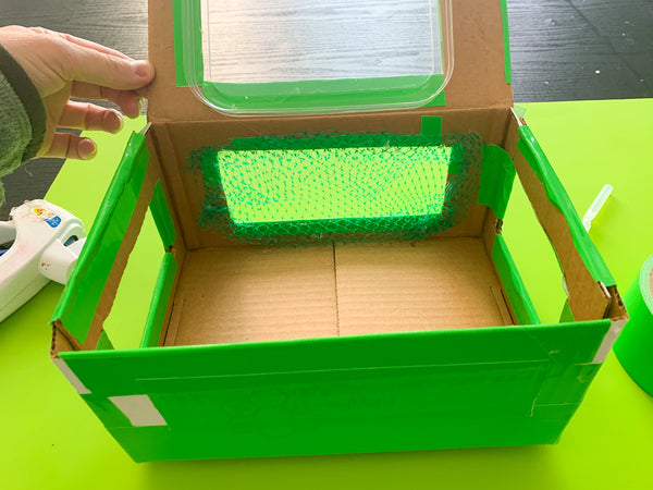 DIY Bug Box 