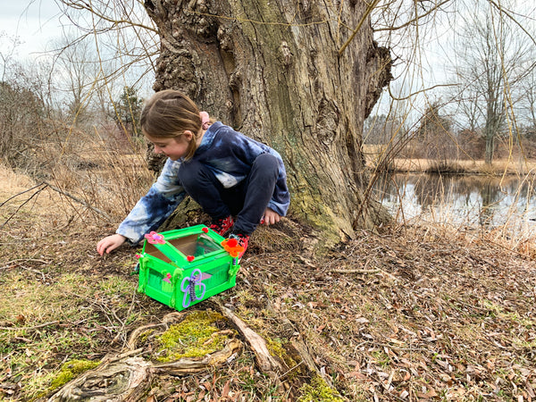 DIY Bug Box