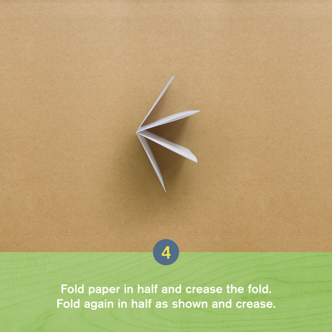 Fold Paper In Half And Crease The Fold