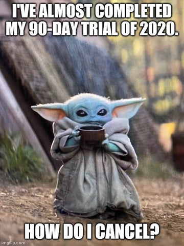 Baby Yoda - A Meme For the Whole Family — anjie + ash