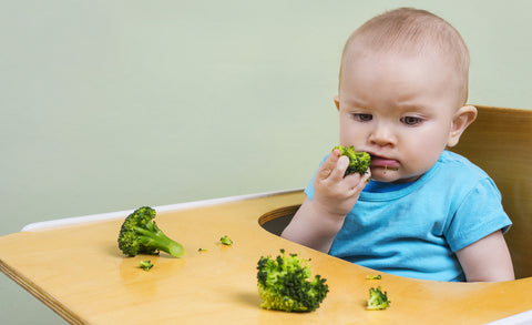 steamed broccoli baby finger food